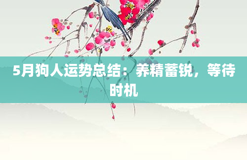 5月狗人运势总结:养精蓄锐,等待时机