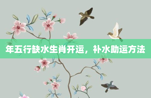 年五行缺水生肖开运,补水助运方法