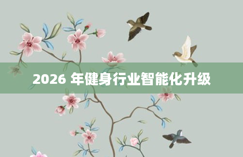2026 年健身行业智能化升级