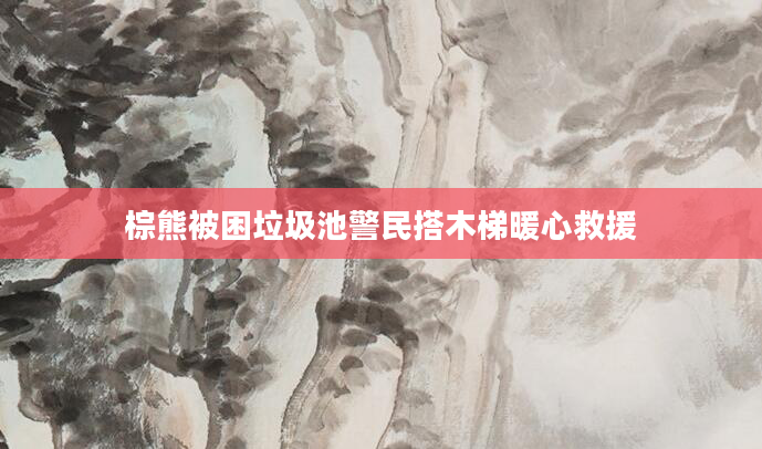 棕熊被困垃圾池警民搭木梯暖心救援