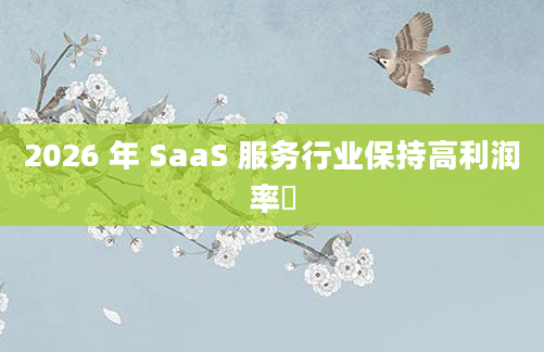 2026 年 SaaS 服务行业保持高利润率