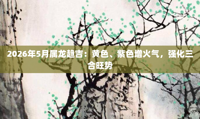 2026年5月属龙趋吉:黄色、紫色增火气,强化三合旺势